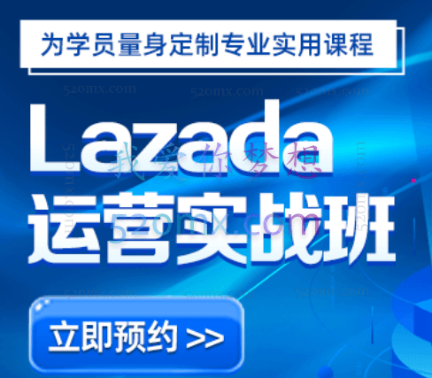 汇学电商Lazada运营实战班