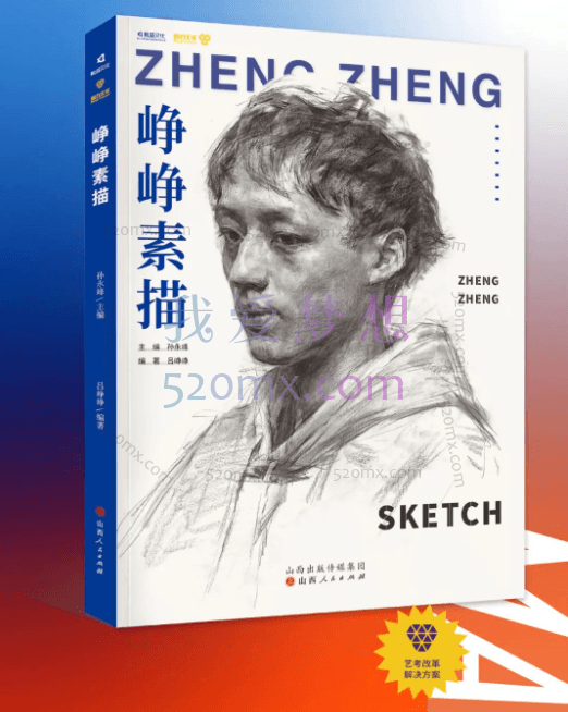 峥峥素描头像体系课