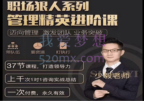 少毅炼成狠人管理精英必修课