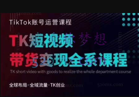 晟睿跨境Tiktok运营线上训练营