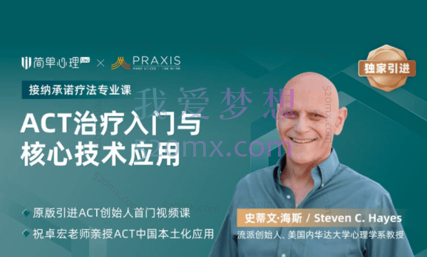 祝卓宏：接纳承诺疗法（ACT）基础课程18集视频