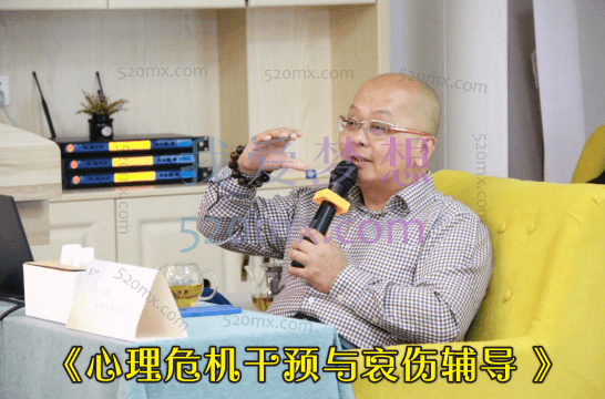 张海音：《心理危机干预与哀伤辅导 》现场录音+课件PPT