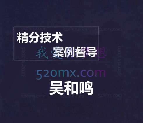 吴和鸣:精分技术与案例督导