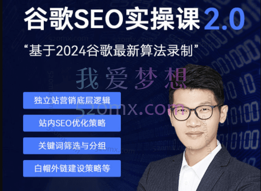 leizi谷歌SEO 2.0 实战课 – 独立站询盘自由必备,基于2024谷歌最新算法