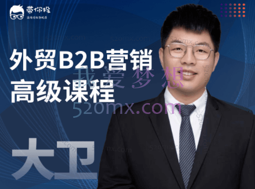 大卫外贸B2B营销高级课程:建站+SEO+PPC广告