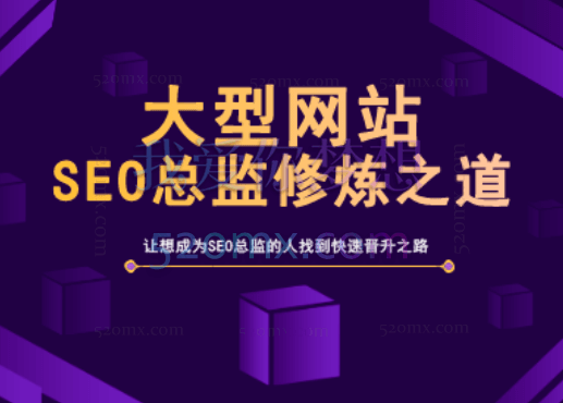 胡勇大型网站SEO总监修炼之道