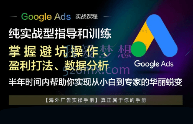 Google Ads系列课程2022,海外广告实操手册真正属于你的手册