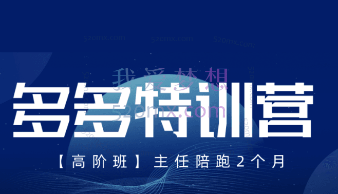 发宝电商纪主任拼多多-多多特训营-高阶班
