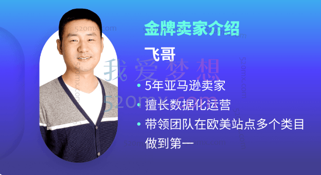 跨境飞哥亚马逊上线:全系商品搜索表现-搜索词表现,透视关键词利器