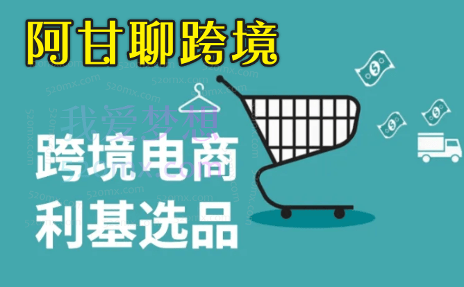 阿甘聊跨境：跨境电商选品运营案例分享2024-2025年