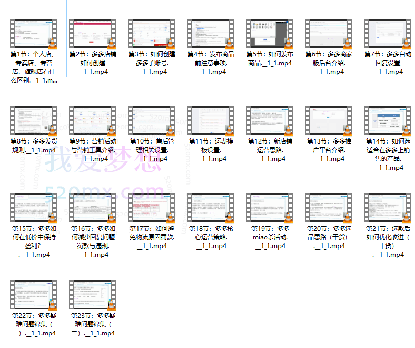 磊子讲电商:拼多多电商理论与实操
