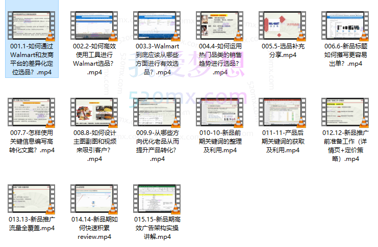 Walmart运营必备:沃尔玛高效运营技巧,沃尔玛精细化运营全流程