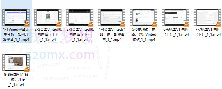 英德本土电商Vinted实操技术