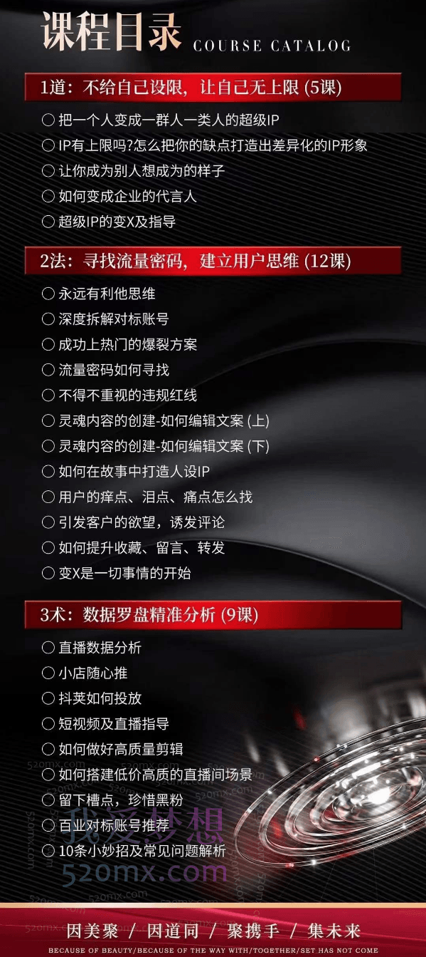 超级IP训练营(唐博士的IP大课)