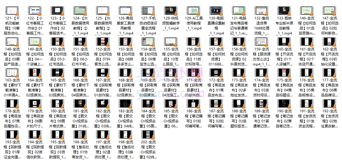 多米老师小红书开店——从入门到精通全流程202节