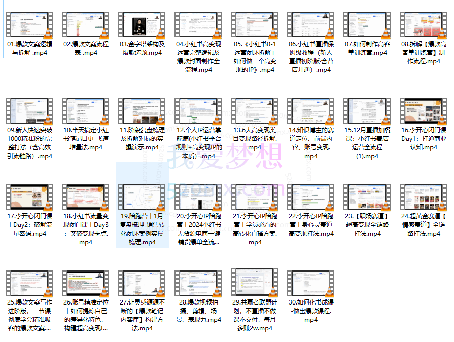 李开心个人IP年度陪跑,小红书自媒体稳稳变现陪跑营,60天拥有自动转化成交的双渠道个人IP,每月多赚2w