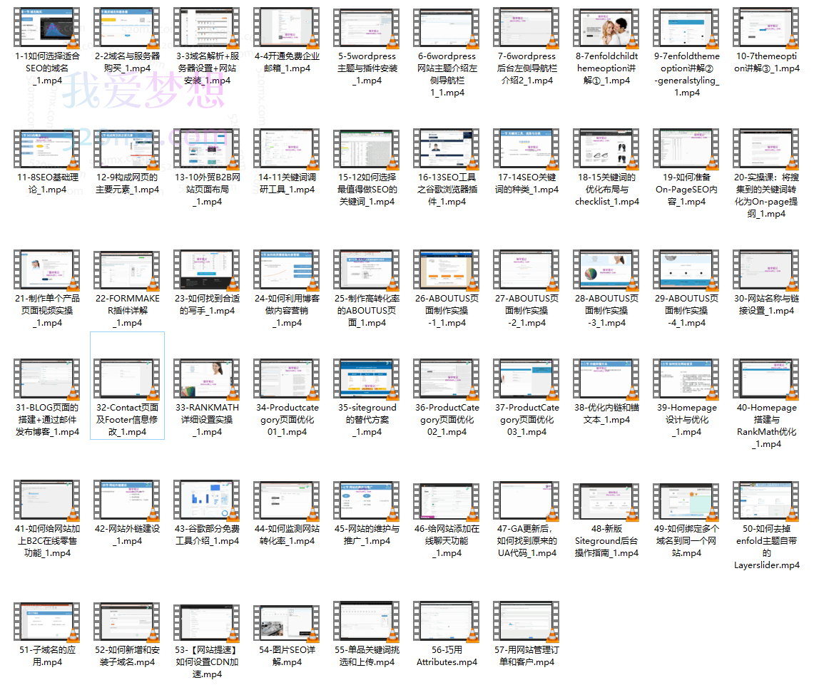做外贸的Victoria:Wordpress外贸建站+SEO优化课程