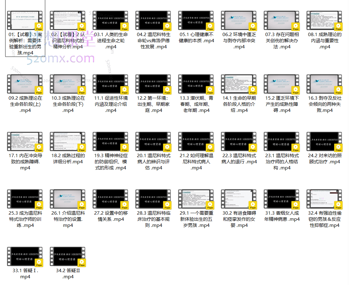 世界精神分析大师系列课--温尼科特篇(自学版)