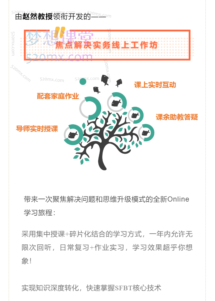 赵然教授焦点解决实务(SFBT)线上工作坊-初阶