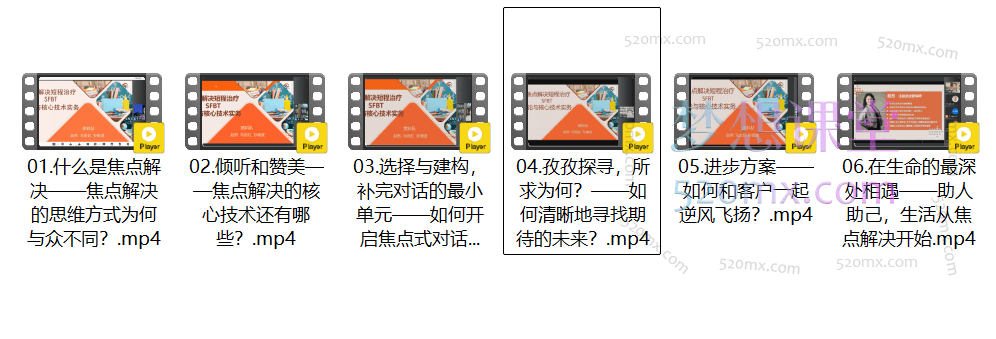 赵然教授焦点解决实务(SFBT)线上工作坊-初阶