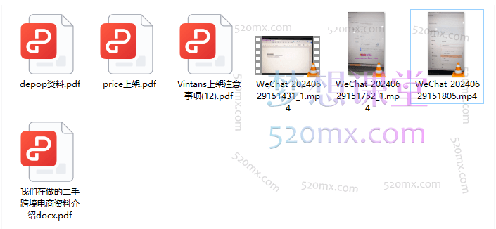 香港二手平台vintans电商实操