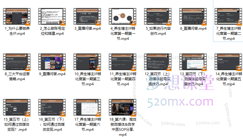 免子speed:养生博主IP孵化课,2024入局身心灵赛道实操攻略