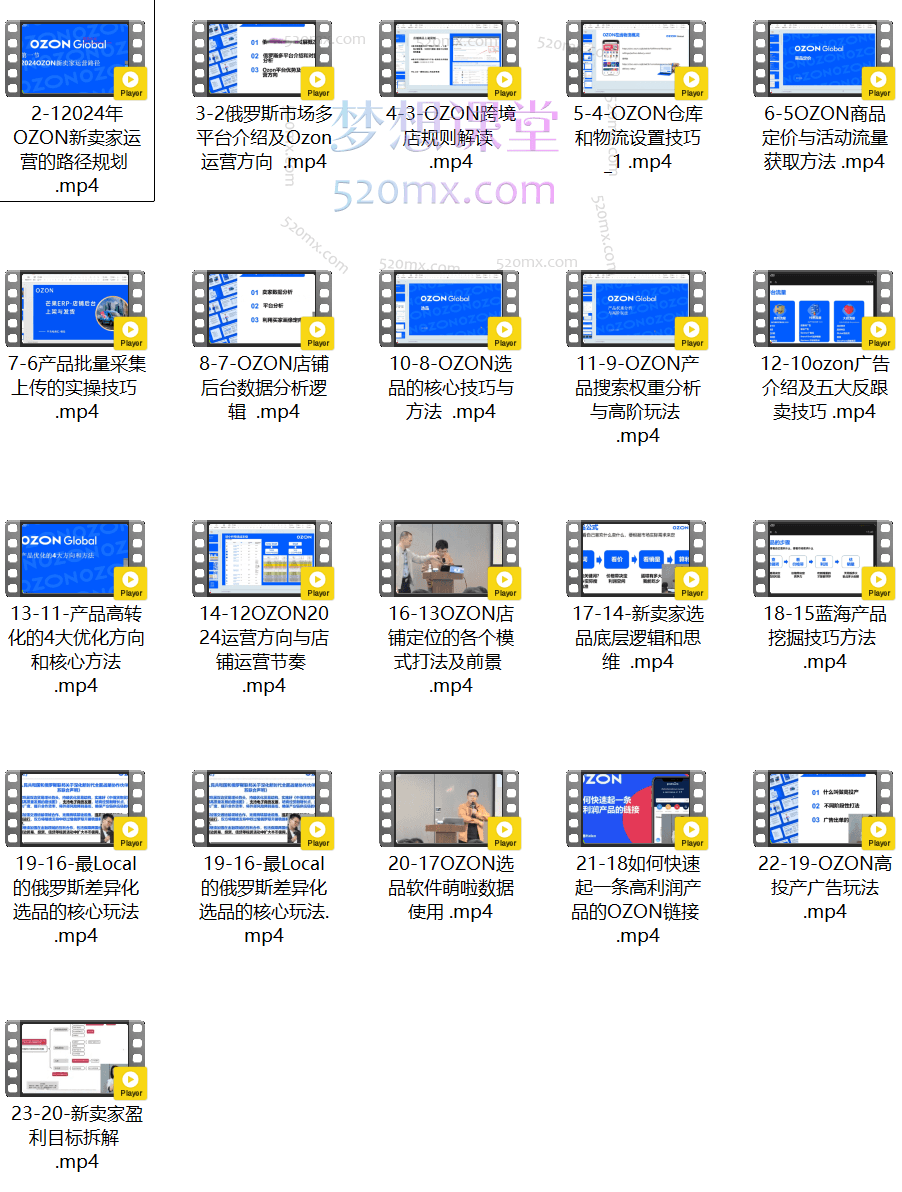 2024千鸟跨境俄罗斯OZON线上陪跑训练营