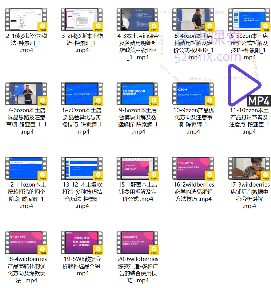 2024俄罗斯OZONWB本土电商系列课