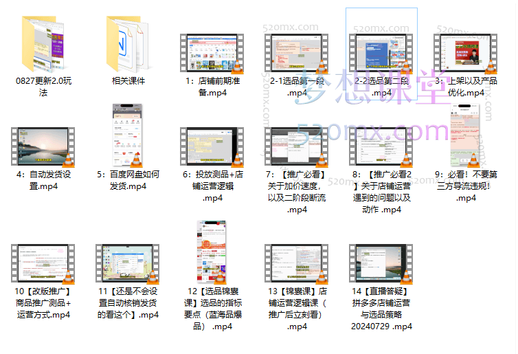 拼多多电商虚拟进阶课，学习高利润的多多虚拟玩法，利用电商思维进行选品+运营