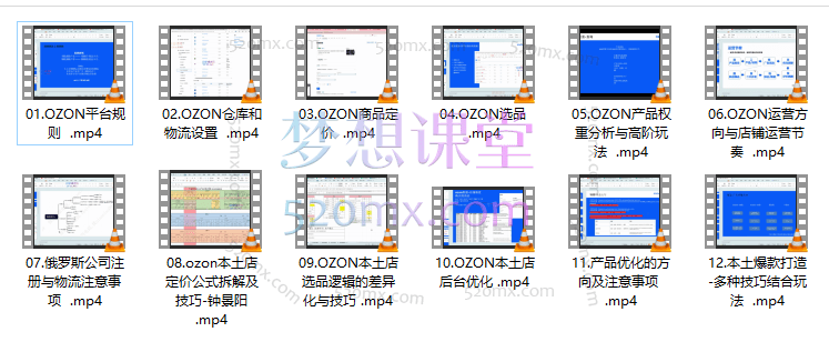 Ozon跨境店铺运营培训课程，快速掌握平台规则，选品方向，本土爆款打造