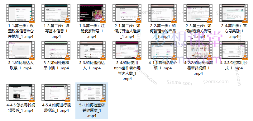 伦伦老师从0到1学Tiktok运营,轻松掌握tiktok实操技能