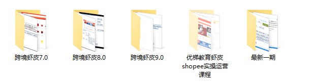 跨境电商虾皮Shopee大神的VIP体系课程7.0、8.0、9.0【优梯跨境】