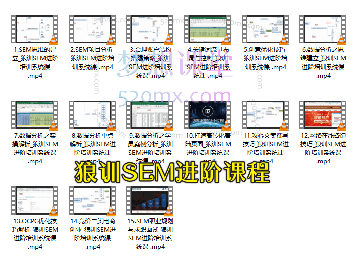 狼训SEM进阶课程+信息流专项训练营