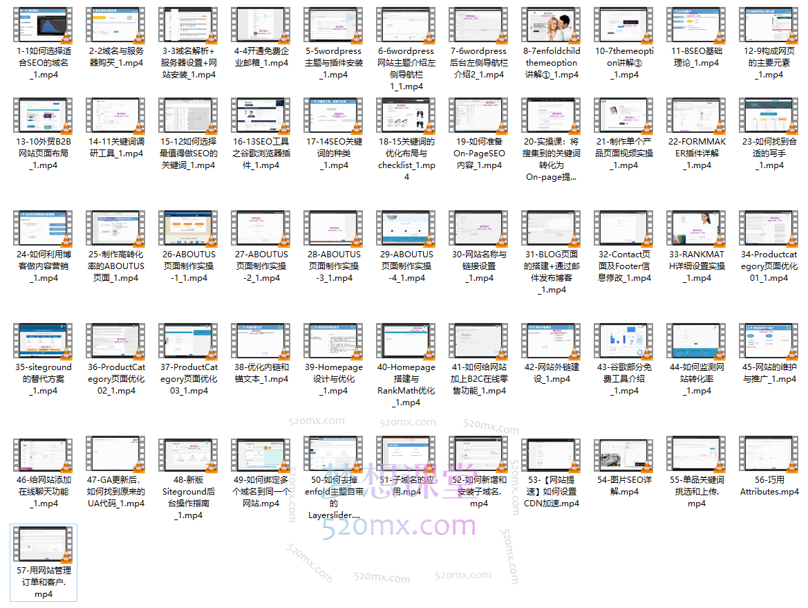 Wordpress外贸建站+SEO优化课程,Victoria手把手教你从0到1搭建可获得询盘的外贸网站!