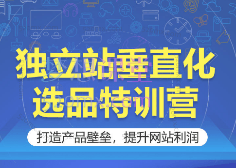 优乐出海独立站垂直化选品特训营