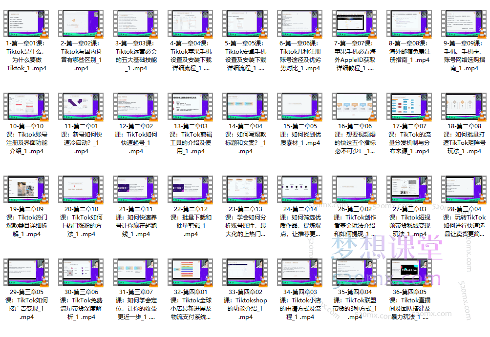 鸿久海基会-Tiktok实操课
