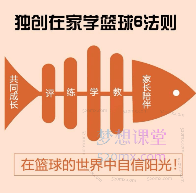 金虎篮球:初学篮球轻松系统入,快学篮球、家长大学生篮球课程