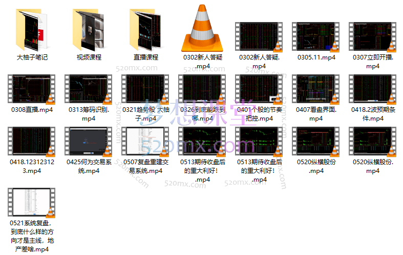 大柚子笔记,2024柚子投资课+笔记