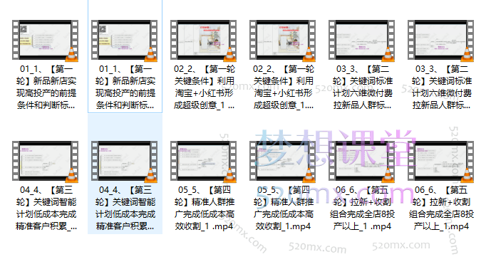 白凤电商:淘系运营21天速成班，新品五轮238付费高投产玩法（2024年9月）
