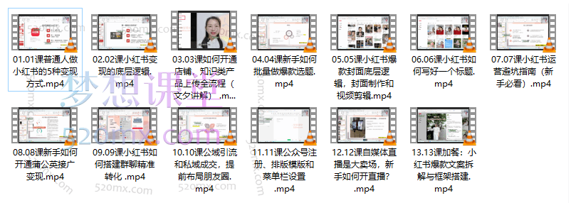 温大玥小红书引流变现课