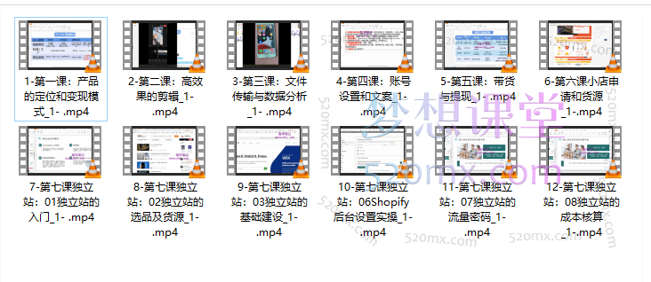 Tiktok 全流程实战课程：从产品定位到独立站运营