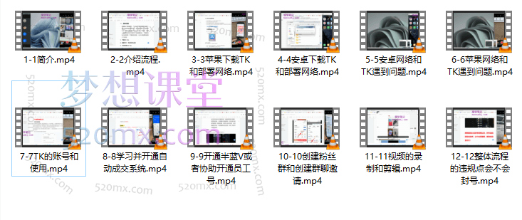 Tiktok虚拟资源变现