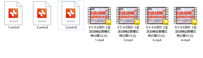 阿呆电商全店动销经营模式特训营