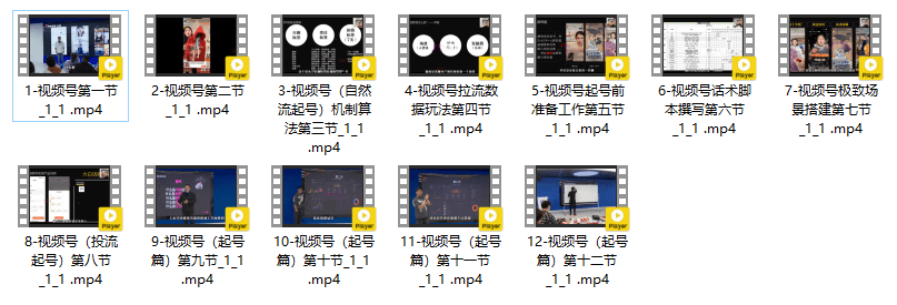 大播汇视频号PLUS课程,视频号的赚钱玩法学明白了!