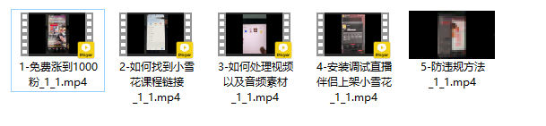 变现达人抖音24小时无人直播卖课