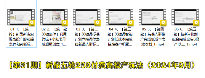 白凤电商拼多多日销千单【第28期】下半年应季产品新玩法(2024年9月更新)+【第31期】新品五轮238付费高投产玩法(2024年9月)
