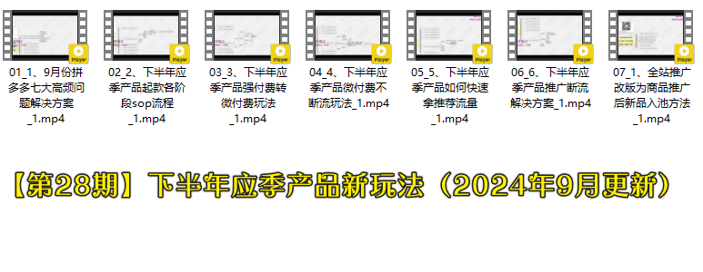 白凤电商拼多多日销千单【第28期】下半年应季产品新玩法(2024年9月更新)+【第31期】新品五轮238付费高投产玩法(2024年9月)