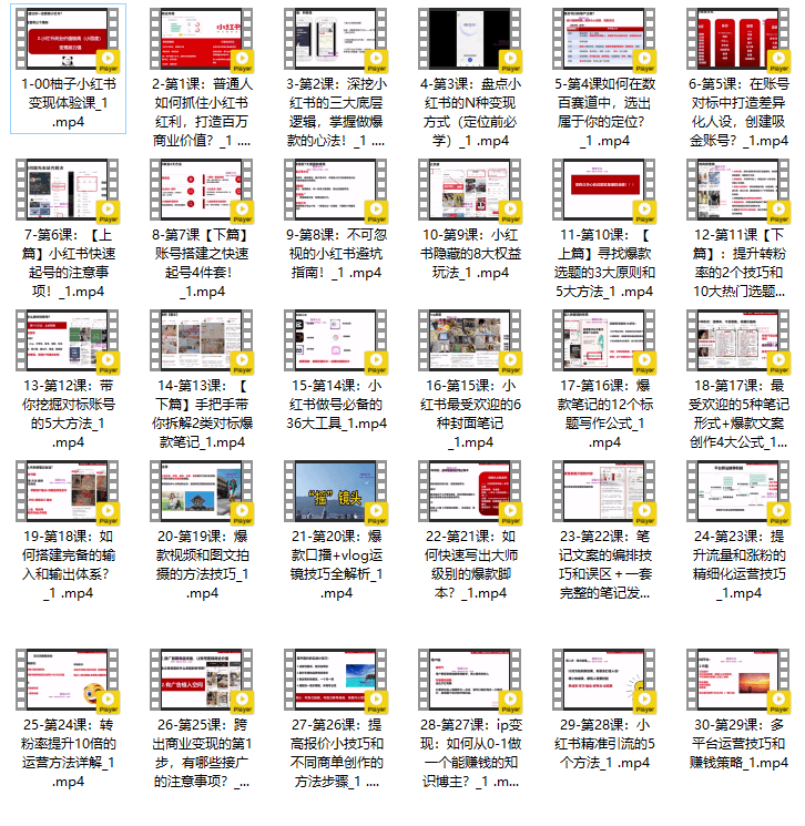小红书变现特训营,带你从0到1做赚钱小红书