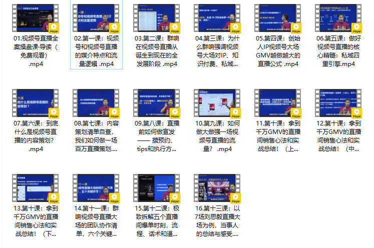 群响刘恩毅视频号直播全案操盘课每个公司都值得拥有一个私域双十一