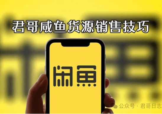 君哥日志闲鱼高客单价销售技巧，月入过万的副业金钥匙